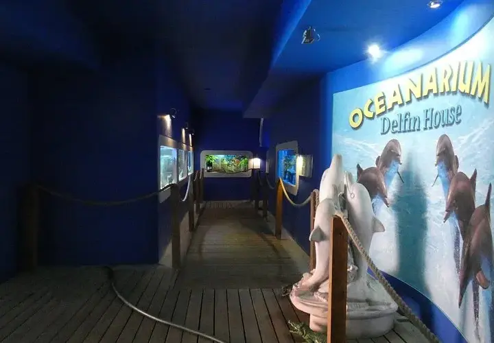 Oceanarium Łeba – fascynujący świat morskich stworzeń i edukacji
