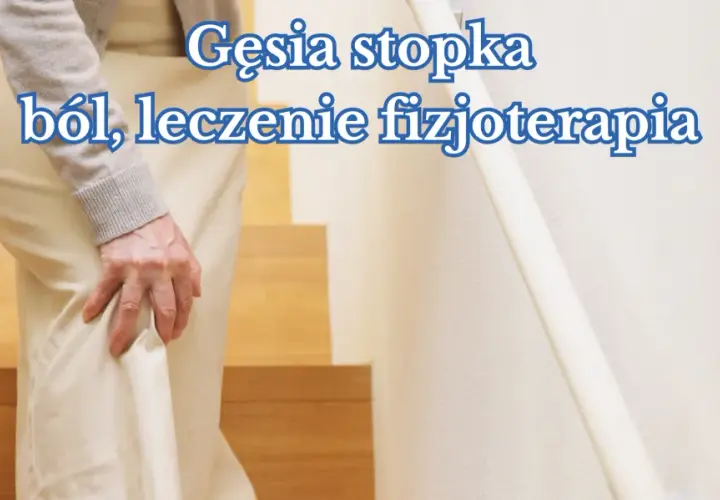 Osoba z bólem w nodze, prawdopodobnie z powodu zapalenia gęsiej stopki, szuka ulgi w fizjoterapii.