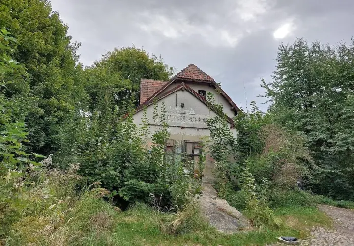 Jastrzębia Góra pociągiem: Jak dojechać, gdy nie ma stacji?