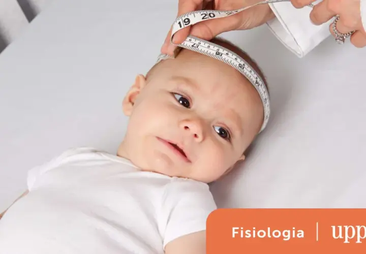 Misurazione della circonferenza cranica di un neonato, utile per la tabella peso altezza età bambini.