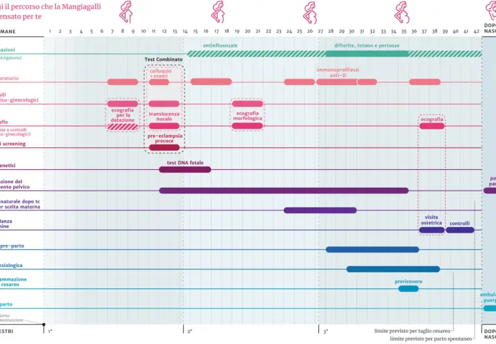 Il calendario gravidanza mostra le tappe fondamentali, dagli esami alle ecografie, fino al parto.