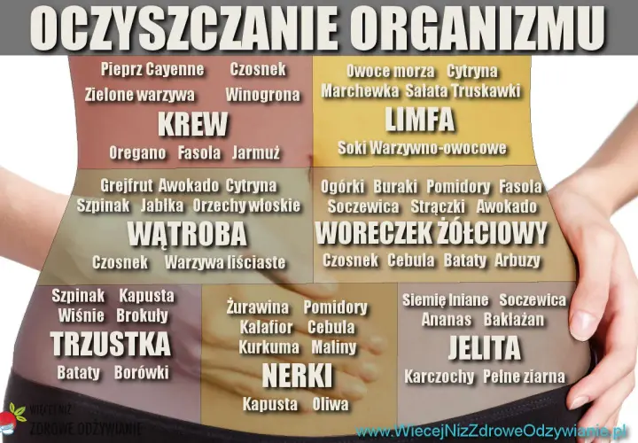 Grafika przedstawia schemat oczyszczania organizmu z podziałem na narządy i produkty spożywcze.