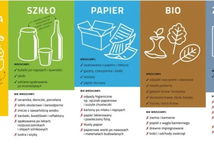 Jak prawidłowo wyrzucić opakowanie po lekach? Poradnik segregacji