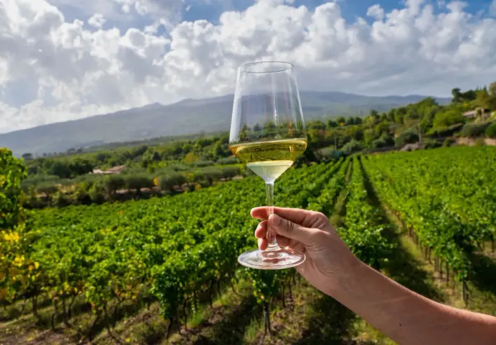 Un bicchiere di vino bianco in primo piano, con vigneti rigogliosi e l'Etna sullo sfondo. Un'esperienza di wine tasting indimenticabile.