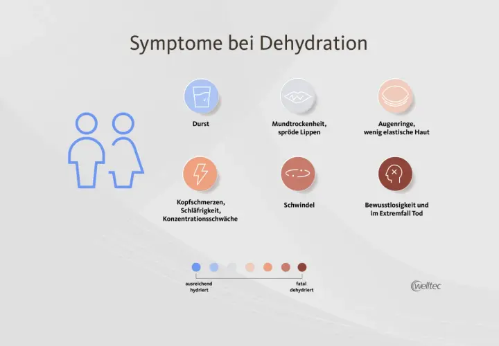 Symptome bei Dehydration: Durst, trockener Mund, Kopfschmerzen, Schwindel, Augenringe, Konzentrationsschwäche. Hautelastizität nimmt ab.