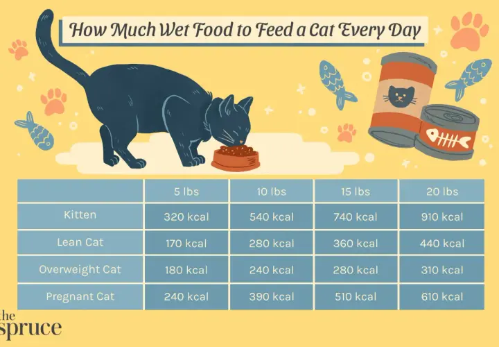 Chart shows how much wet food to feed a cat daily based on weight and life stage, from kittens to pregnant cats.