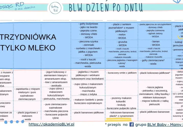 Co może jeść 8 miesięczne dziecko? Lista BLW: placki bananowe, zupa rybna, koktajl buraczano-jabłkowy, omlety, kasze.