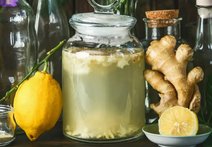 En stor glasburk med bubblande vätska, ingefära och en citron. Ingredienser för ett **ginger bug recept**.