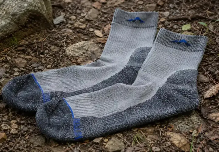 Gray hiking socks with blue mountain logos lie on the forest floor. Learn how to choose hiking socks for comfort and support.