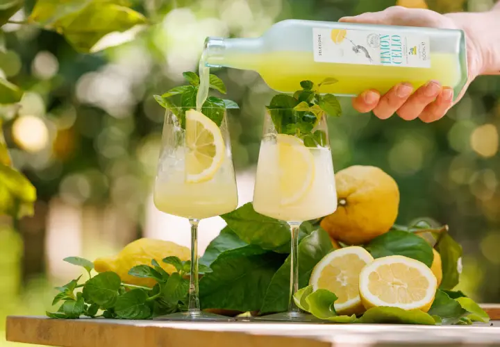 Limoncello wird in Gläser mit Eis, Zitronenscheiben und Minze gegossen. So trinkt man Limoncello am besten!
