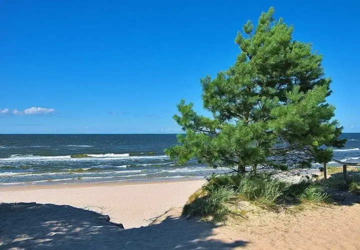 Piękny dzień na plaży w Ostrowie nad morzem. Słońce, piasek i szum fal.