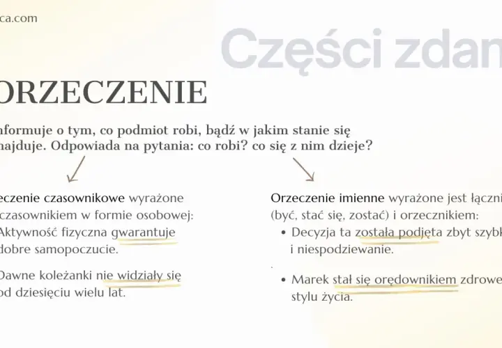 Orzeczenie informuje, co podmiot robi lub w jakim jest stanie. Czasownik jest kluczowy w zdaniu, np. "gwarantuje", "widziały", "została podjęta", "stał się".