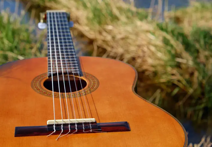 Klasyczna gitara z nylonowymi strunami na tle trawy. Zastanawiasz się, ile kosztują struny do gitary?