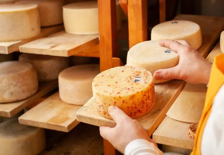 Ręce wybierają krąg sera Montasio z pomarańczowymi plamkami, leżący na drewnianej desce, wśród innych serów na półkach.