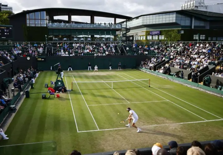 Jakie gatunki trawy na Wimbledonie zapewniają idealne warunki do gry?