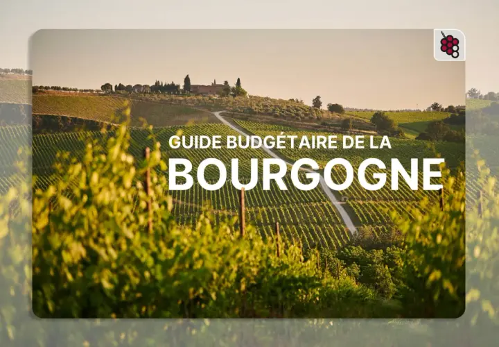 Paysage de vignobles en Bourgogne, idéal pour trouver quel vin rouge bourguignon choisir.