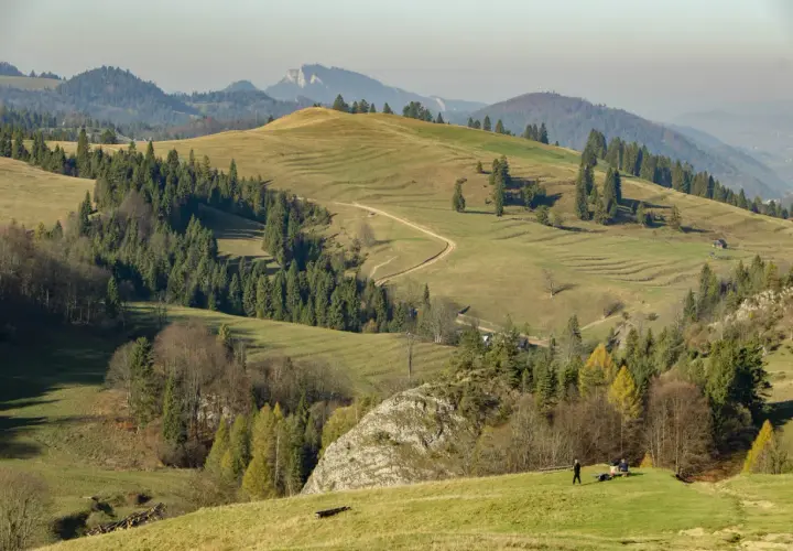 Malowniczy szlak na wysoką, wijący się przez zielone wzgórza i lasy. W oddali widać pasmo górskie.