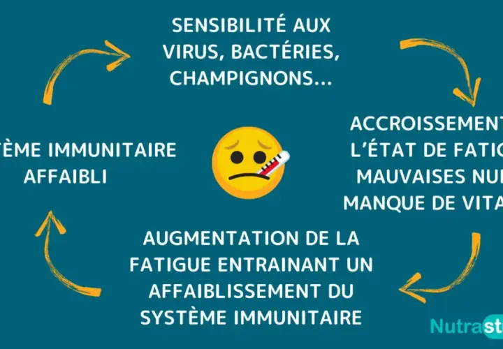 Un cercle vicieux : un système immunitaire affaibli rend sensible aux infections, causant fatigue et manque de vitalité, ce qui affaiblit encore plus le système immunitaire.