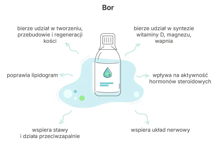 Bor pomaga w tworzeniu kości, syntezie witaminy D, magnezu i wapnia, wspiera stawy i układ nerwowy.