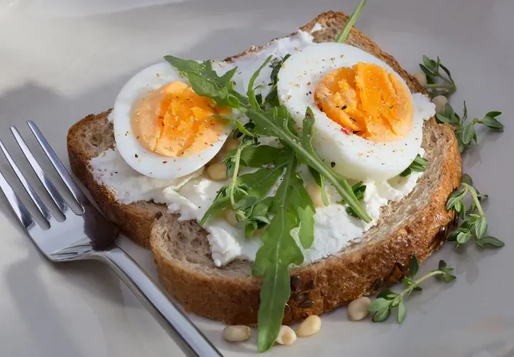 Tartine avec œuf dur conservation température ambiante, fromage frais, roquette et herbes. Une fourchette est à côté.