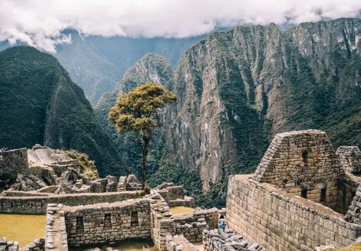 Die Ruinen von Machu Picchu, umgeben von steilen, grünen Bergen. Eine einsame Baumkrone ragt über die alten Steine. Ein unvergessliches Erlebnis auf meiner Machu Picchu Reise.