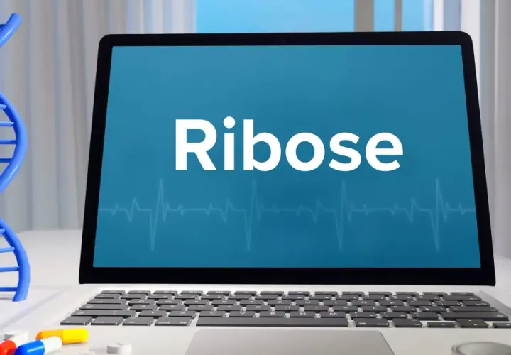 Ein Laptop zeigt "Ribose" an, daneben eine DNA-Helix und Pillen. Ribose ist ein wichtiger Zucker für das Leben.