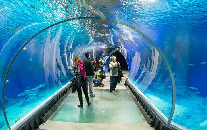 Oceanarium Warszawa: Dlaczego nie znajdziesz tu żywych organizmów?