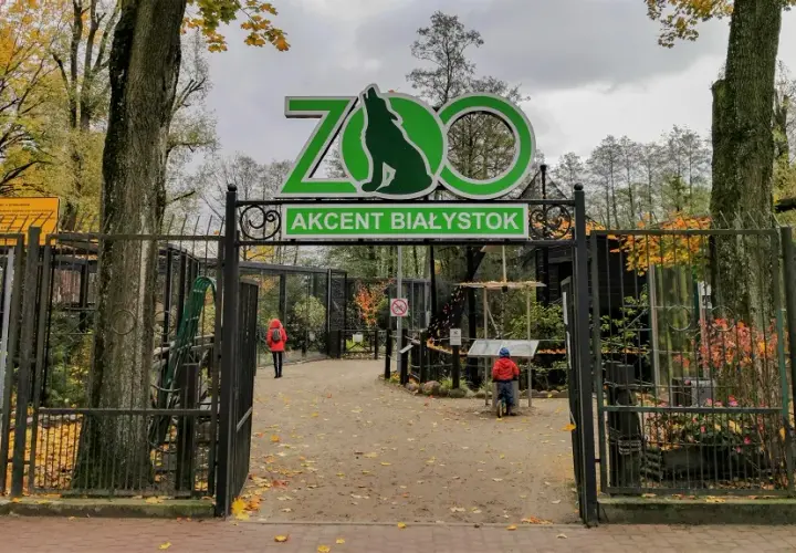 Co Zobaczyć w Białymstoku? Najciekawsze Miejsca i Atrakcje