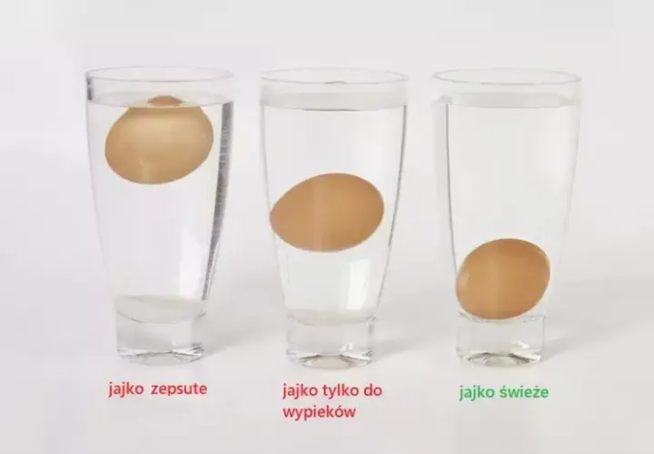 Jak sprawdzić świeżość jajek? Najskuteczniejsze metody