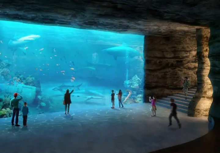 Oceanarium Łódź: Niezapomniane atrakcje i podwodne przeżycia