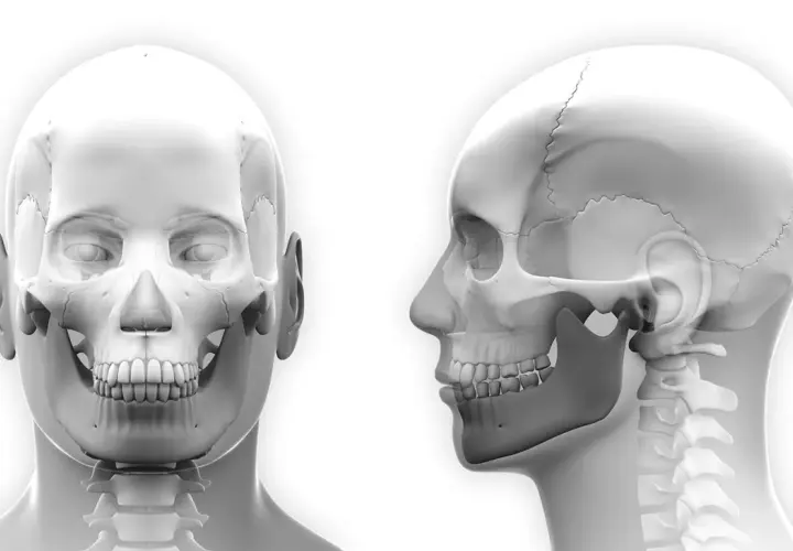 Anatomia czaszki z widokiem z przodu i z boku, uwzględniająca staw skroniowo-żuchwowy, kluczowy dla zastrzyków w staw skroniowo-żuchwowy.