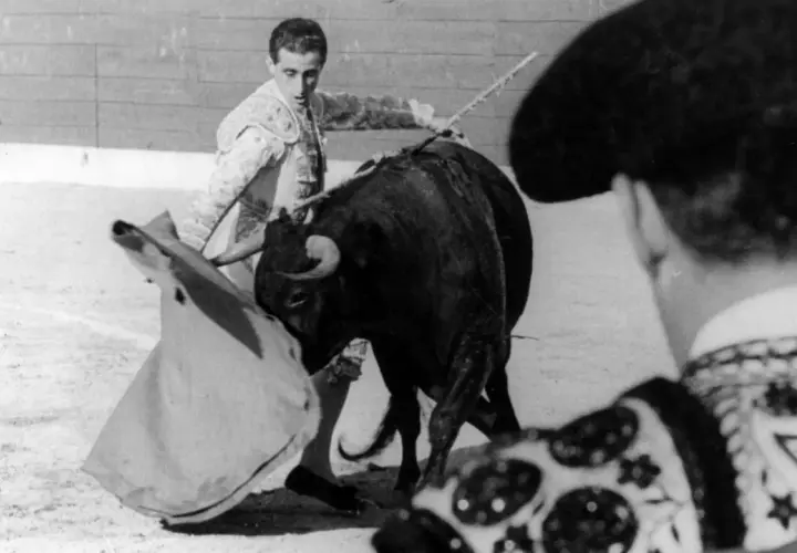 El viti torero, con su traje de luces, se enfrenta a un toro bravo en la arena.