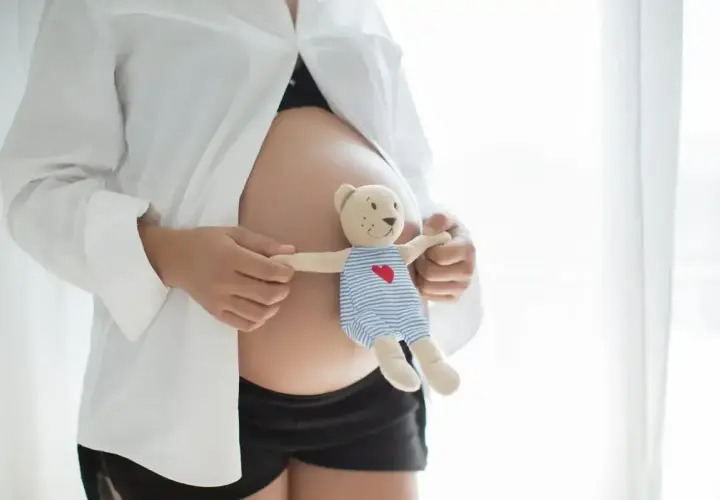 Pancia di donna incinta con orsacchiotto. Il conteggio dei mesi tra due date è un'attesa dolce.