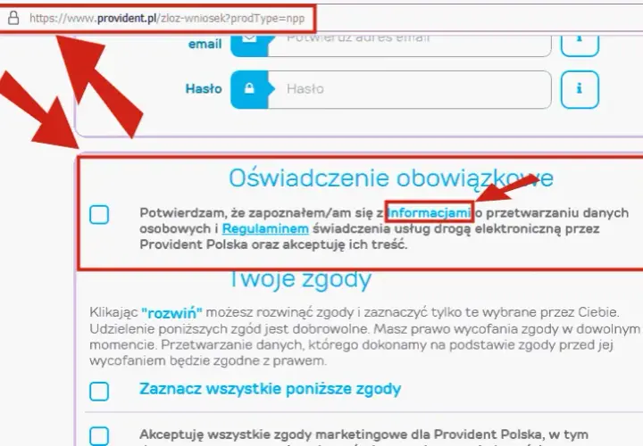 Provident sprawdza BIK? Dowiedz się, jakie masz szanse