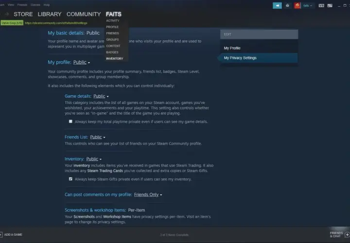Ustawienia prywatności Steam. Dowiedz się, jak uzupełnić trade url, zarządzając widocznością swojego profilu, listy znajomych i ekwipunku.