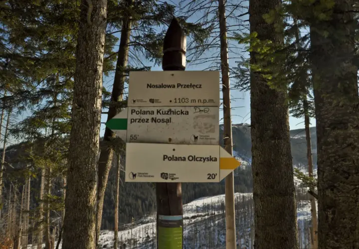 Rozdroże na Nosalowej Przełęczy (1103 m n.p.m.). Szlak na Nosal prowadzi przez Polanę Kuźnicką (55 min) lub Polanę Olczyską (20 min).