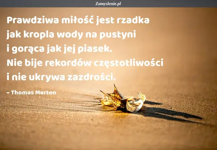 Prawdziwa miłość jest rzadka jak kropla wody na pustyni, gorąca jak piasek. Cytaty o miłości Thomasa Mertona przypominają o jej unikalności.