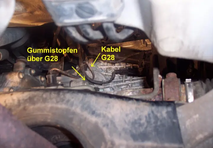 Motorraum eines VW: Gummistopfen über G28 und Kabel G28.