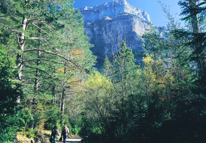 Two hikers enjoy a scenic walk in Spain, surrounded by lush trees and a majestic mountain backdrop.