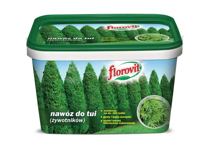 Jaki nawóz pod tuje? Skuteczne sposoby na bujny wzrost iglaka