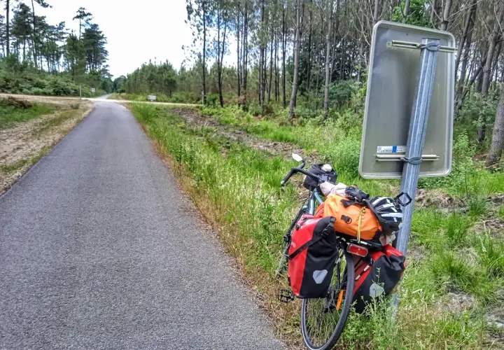 Bicicleta cargada lista para explorar las landas. El camino se abre paso entre pinos y vegetación exuberante.