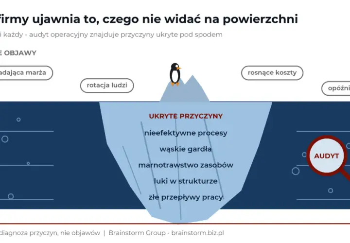 Audyt firmy ukazuje ukryte przyczyny problemów, takie jak nieefektywne procesy, marnotrawstwo zasobów i wąskie gardła, które wpływają na widoczne objawy.