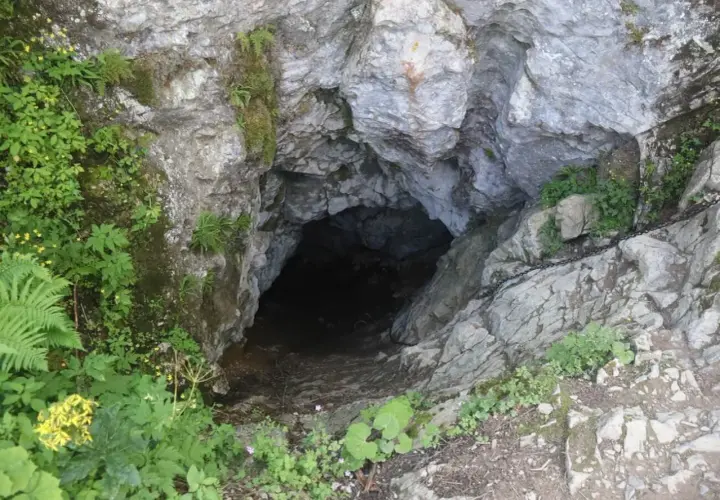 Wejście do Smoczej Jamy w Tatrach, skalne urwisko porośnięte zielenią, z widoczną łańcuchem ułatwiającym zejście.