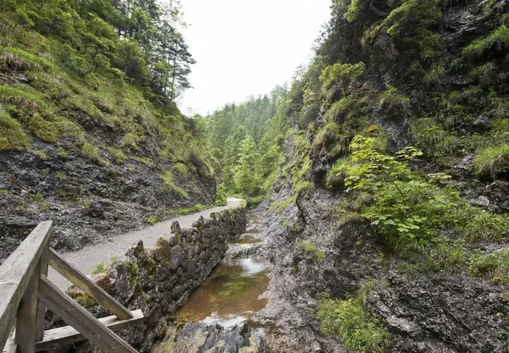 Kamienista ścieżka wzdłuż potoku w skalistej dolinie. Zielone zbocza porośnięte trawą i drzewami. Trasa w Dolinie Białego zaprasza na spacer.