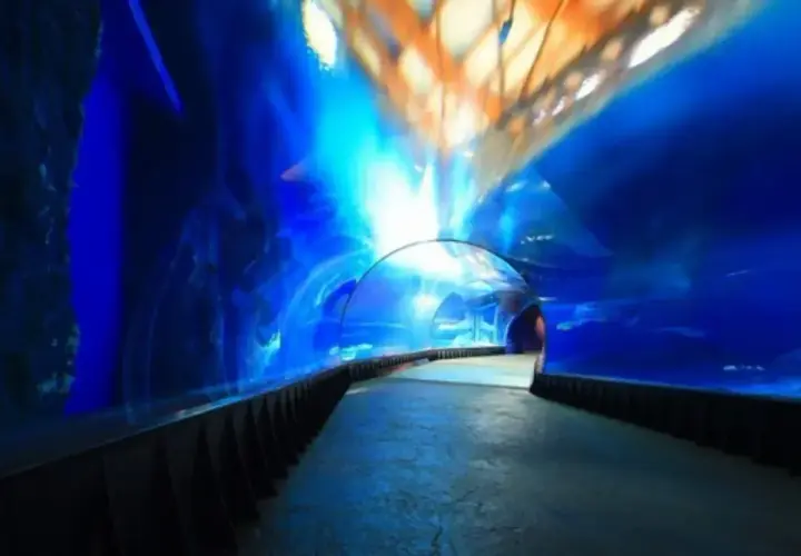 Podwodny tunel w Oceanarium Kołobrzeg. Wspaniałe wrażenia, które potwierdzają pozytywne oceanarium kołobrzeg opinie.