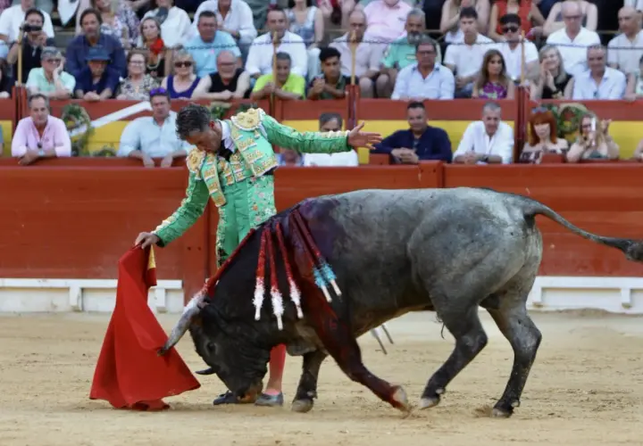 Un torero alicantino, con traje de luces verde, se enfrenta a un toro en la arena. El público observa desde las gradas.