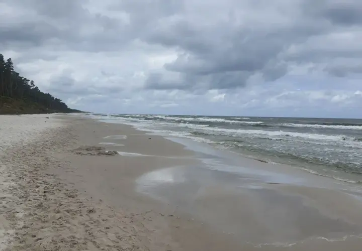 Plaża nad Bałtykiem z sosnowym lasem w tle. Fale rozbijają się o brzeg. Średnie zasolenie Bałtyku to ok. 7-8 promili.
