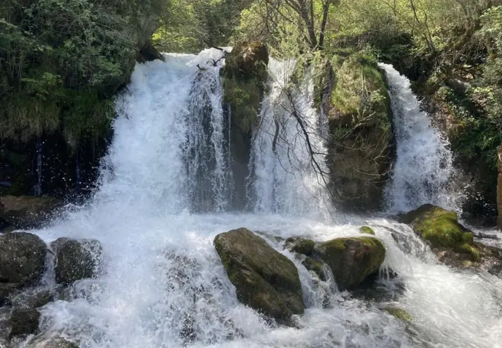 Cascada con agua espumosa cayendo sobre rocas cubiertas de musgo, como un bullidor de la llet en la naturaleza.