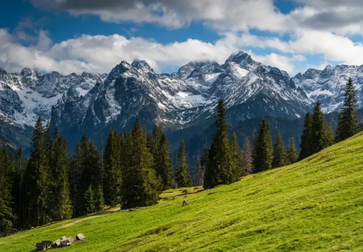 Zielone zbocze z widokiem na ośnieżone szczyty Tatr. Idealne miejsce na wycieczki w Tatry, z lasem iglastym i kilkoma chatkami.