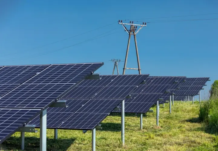 Rzędy paneli fotowoltaicznych na zielonej łące, pod błękitnym niebem. Idealny dzień, kiedy fotowoltaika produkuje najwięcej energii.